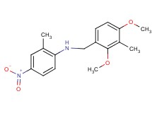 (2,4-dimethoxy-3-methylbenzyl)(2-methyl-4-nitrophenyl)amine
