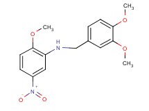 (3,4-dimethoxybenzyl)(2-methoxy-5-nitrophenyl)amine