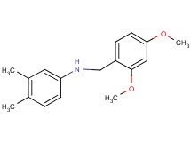 (2,4-dimethoxybenzyl)(3,4-dimethylphenyl)amine