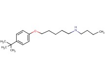 N-butyl-5-(4-tert-butylphenoxy)-1-pentanamine