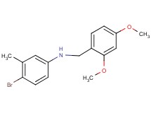 (4-bromo-3-methylphenyl)(2,4-dimethoxybenzyl)amine