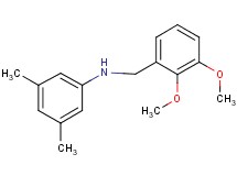 (2,3-dimethoxybenzyl)(3,5-dimethylphenyl)amine