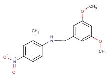 (3,5-dimethoxybenzyl)(2-methyl-4-nitrophenyl)amine