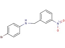 (4-bromophenyl)(3-nitrobenzyl)amine