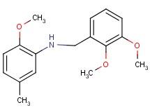 (2,3-dimethoxybenzyl)(2-methoxy-5-methylphenyl)amine