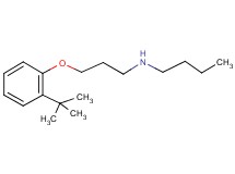 N-[3-(2-tert-butylphenoxy)propyl]-1-butanamine
