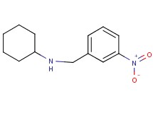 N-(3-nitrobenzyl)cyclohexanamine