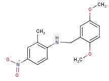 (2,5-dimethoxybenzyl)(2-methyl-4-nitrophenyl)amine