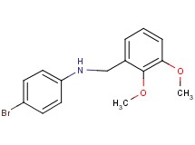 (4-bromophenyl)(2,3-dimethoxybenzyl)amine