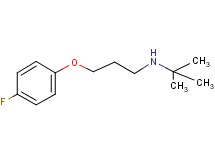 N-(tert-butyl)-3-(4-fluorophenoxy)-1-propanamine