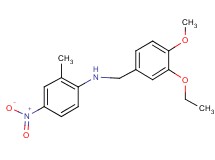 (3-ethoxy-4-methoxybenzyl)(2-methyl-4-nitrophenyl)amine