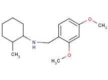 (2,4-dimethoxybenzyl)(2-methylcyclohexyl)amine