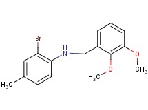 (2-bromo-4-methylphenyl)(2,3-dimethoxybenzyl)amine