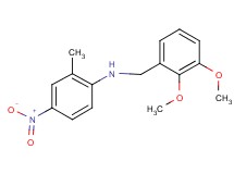 (2,3-dimethoxybenzyl)(2-methyl-4-nitrophenyl)amine