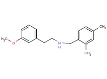 (2,4-dimethylbenzyl)[2-(3-methoxyphenyl)ethyl]amine