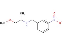 (2-methoxy-1-methylethyl)(3-nitrobenzyl)amine oxalate