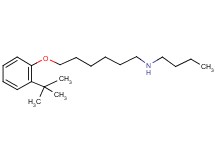 N-butyl-6-(2-tert-butylphenoxy)-1-hexanamine
