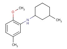 (2-methoxy-5-methylphenyl)(3-methylcyclohexyl)amine