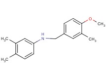 (3,4-dimethylphenyl)(4-methoxy-3-methylbenzyl)amine