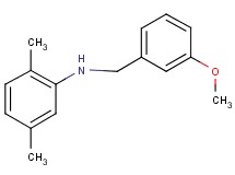 (2,5-dimethylphenyl)(3-methoxybenzyl)amine
