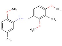 (2,4-dimethoxy-3-methylbenzyl)(2-methoxy-5-methylphenyl)amine