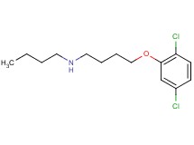 N-butyl-4-(2,5-dichlorophenoxy)-1-butanamine oxalate