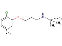 N-(tert-butyl)-3-(2-chloro-5-methylphenoxy)-1-propanamine