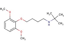 N-(tert-butyl)-4-(2,6-dimethoxyphenoxy)-1-butanamine oxalate
