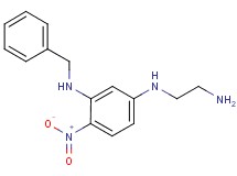 N~1~-(2-aminoethyl)-N~3~-benzyl-4-nitro-1,3-benzenediamine hydrochloride
