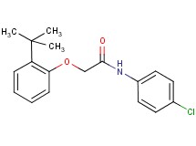2-(2-tert-butylphenoxy)-N-(4-chlorophenyl)acetamide