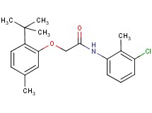 2-(2-tert-butyl-5-methylphenoxy)-N-(3-chloro-2-methylphenyl)acetamide