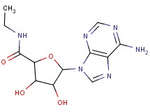 5-(6-amino-9H-purin-9-yl)-N-ethyl-3,4-dihydroxytetrahydro-2-furancarboxamide