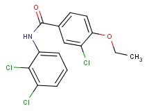 3-chloro-N-(2,3-dichlorophenyl)-4-ethoxybenzamide