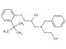 1-[benzyl(2-hydroxyethyl)amino]-3-(2-tert-butylphenoxy)-2-propanol hydrochloride