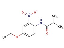 N-(4-ethoxy-2-nitrophenyl)-2-methylpropanamide