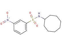N-cyclooctyl-3-nitrobenzenesulfonamide