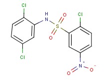 2-chloro-N-(2,5-dichlorophenyl)-5-nitrobenzenesulfonamide