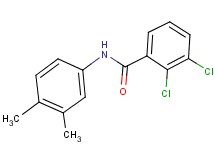 2,3-dichloro-N-(3,4-dimethylphenyl)benzamide