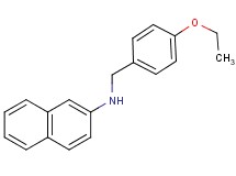 (4-ethoxybenzyl)2-naphthylamine
