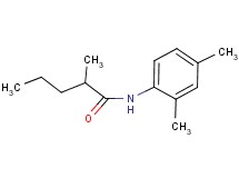 N-(2,4-dimethylphenyl)-2-methylpentanamide