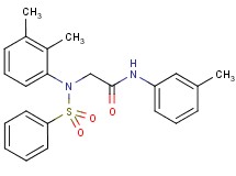 N~2~-(2,3-dimethylphenyl)-N~1~-(3-methylphenyl)-N~2~-(phenylsulfonyl)glycinamide