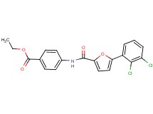 ethyl 4-{[5-(2,3-dichlorophenyl)-2-furoyl]amino}benzoate