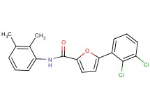 5-(2,3-dichlorophenyl)-N-(2,3-dimethylphenyl)-2-furamide