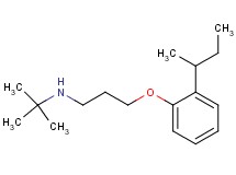 N-(tert-butyl)-3-(2-sec-butylphenoxy)-1-propanamine oxalate