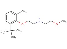 [2-(2-tert-butyl-6-methylphenoxy)ethyl](2-methoxyethyl)amine oxalate
