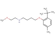 [4-(2-tert-butyl-5-methylphenoxy)butyl](2-methoxyethyl)amine oxalate