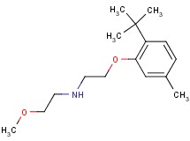 [2-(2-tert-butyl-5-methylphenoxy)ethyl](2-methoxyethyl)amine oxalate