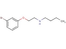 N-[2-(3-bromophenoxy)ethyl]-1-butanamine oxalate