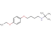 N-(tert-butyl)-4-(4-ethoxyphenoxy)-1-butanamine oxalate