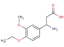 3-amino-3-(4-ethoxy-3-methoxyphenyl)propanoic acid